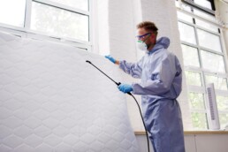 Bed Bug Spray Treatment